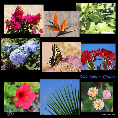 Soluna Bed and breakfast Cantoria