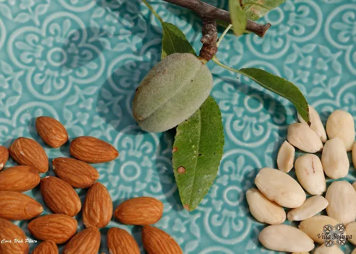 Soluna Bed and breakfast *